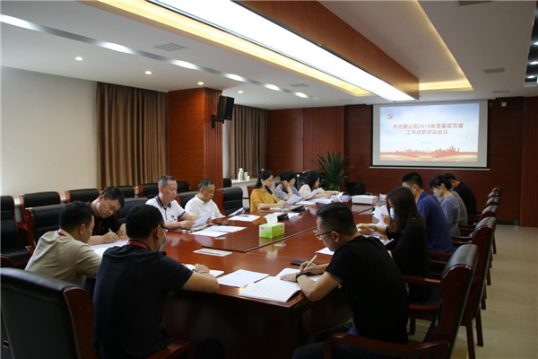 市古鎮(zhèn)公司黨總支召開2019年度基層黨建工作述職評議會(huì)