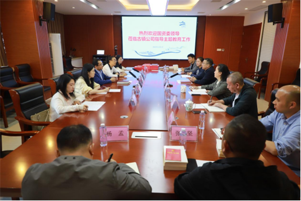 市國資委領(lǐng)導帶隊指導推進公司主題教育工作