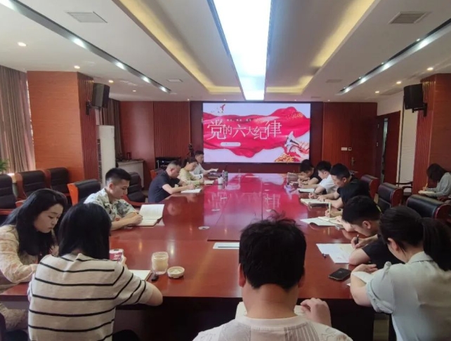恪守“六大紀律”，筑牢思想根基--市古鎮(zhèn)投資公司行政黨支部組織開展黨記學習教育專題黨課