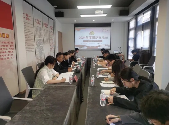 市古鎮(zhèn)投資公司各黨支部召開(kāi)2024年度組織生活會(huì)